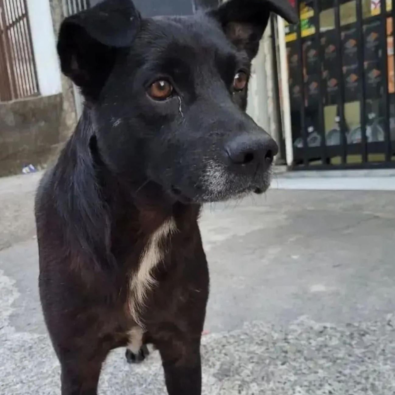 Foto do Negão